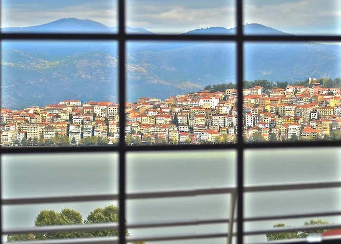 Tania\'S View